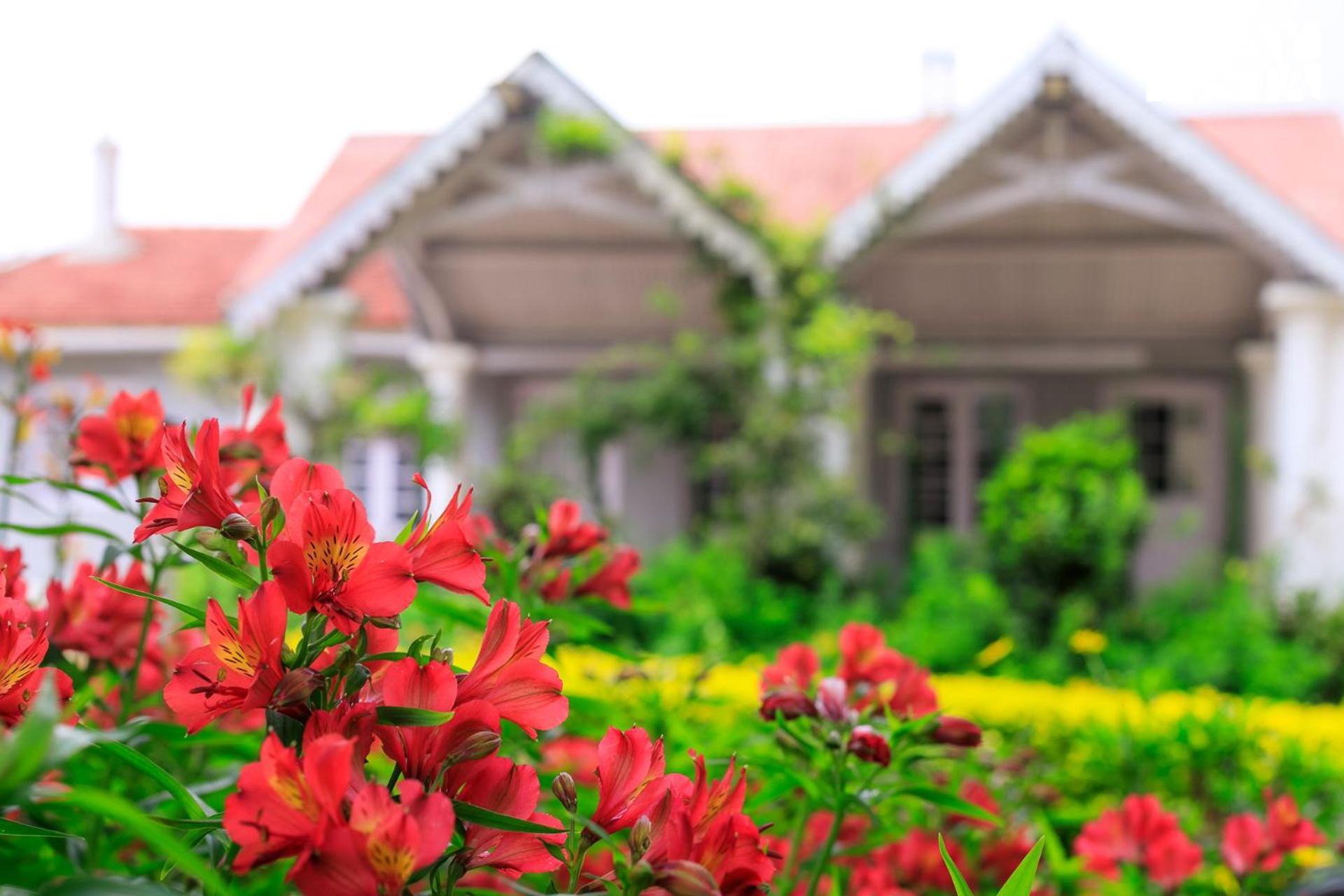 Stayvista At The Alcove With Breakfast & Bbq Grill Udagamandalam Exterior foto